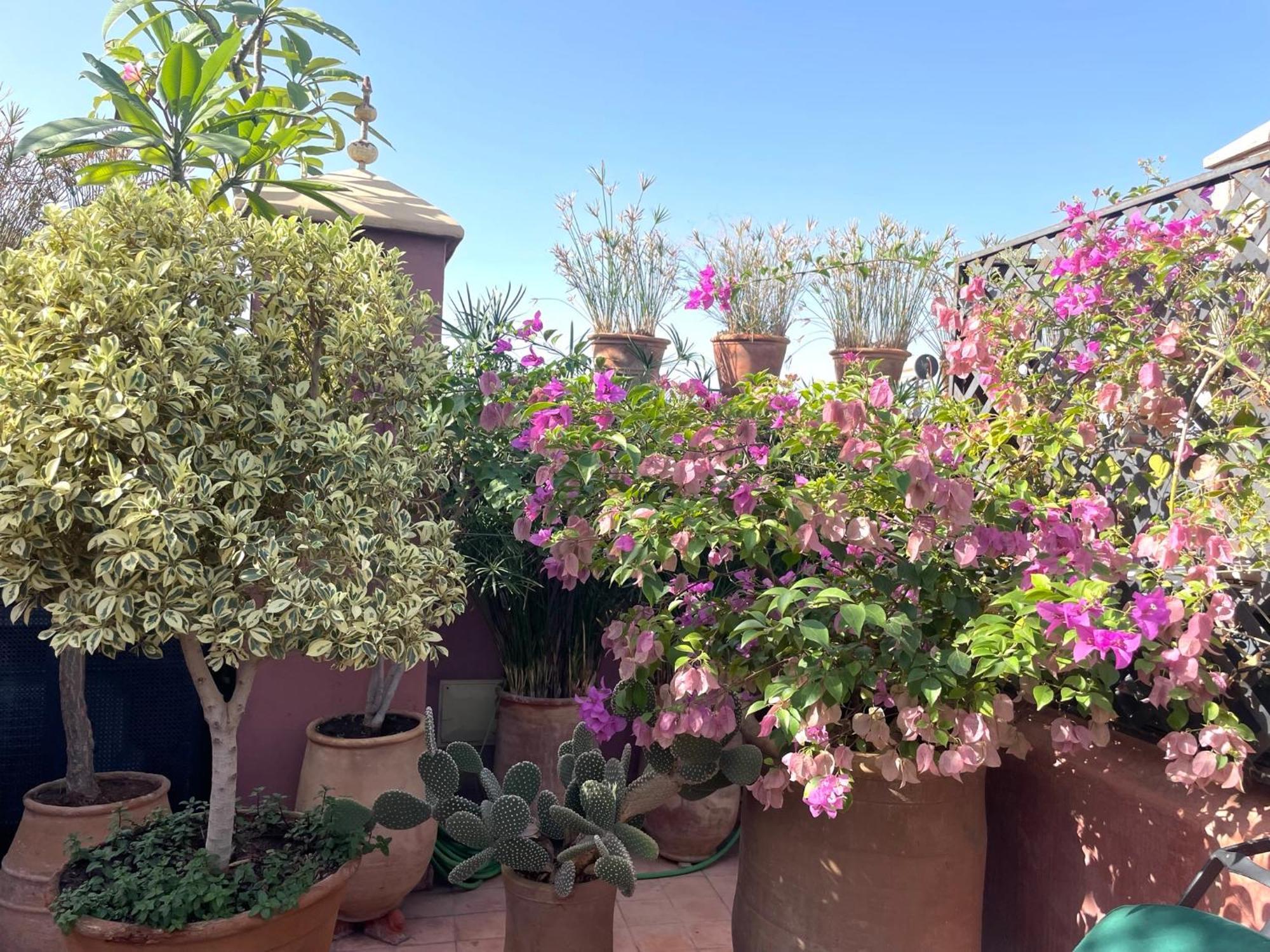 מרקש Riad Dar Al Assad מראה חיצוני תמונה